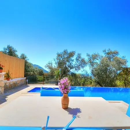 Villa Kelebek *