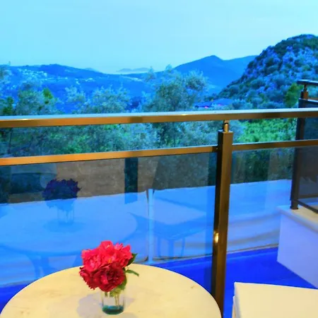 Kelebek Kalkan