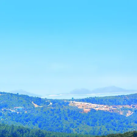 Kelebek *
